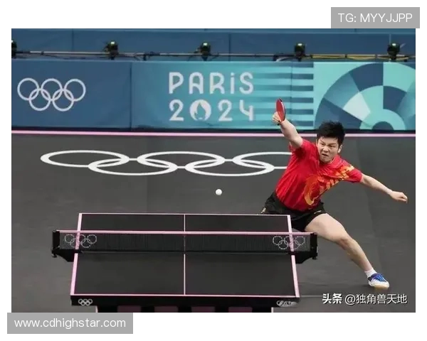 乒乓球快攻技艺揭秘：杭州乒乓球队的训练与战术分析