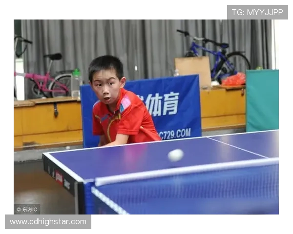 北京乒乓球队的训练节奏与战术分析探讨乒乓球热点动态 北京乒乓球队的训练节奏与战术分析探讨乒乓球热点动态