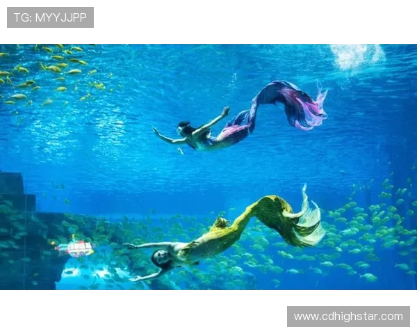 亚当斯的探索之旅:揭示人类智慧与自然和谐共生的奥秘 亚当斯的探索之旅:揭示人类智慧与自然和谐共生的奥秘