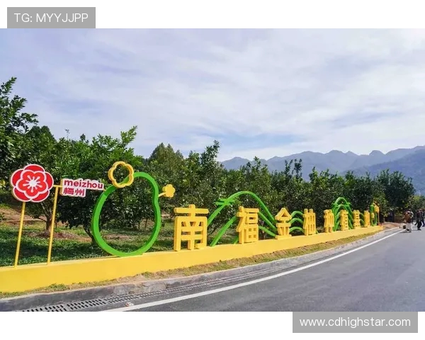 亨克与贝西克塔的激烈对决揭示了足球战术的深度与魅力 亨克与贝西克塔的激烈对决揭示了足球战术的深度与魅力