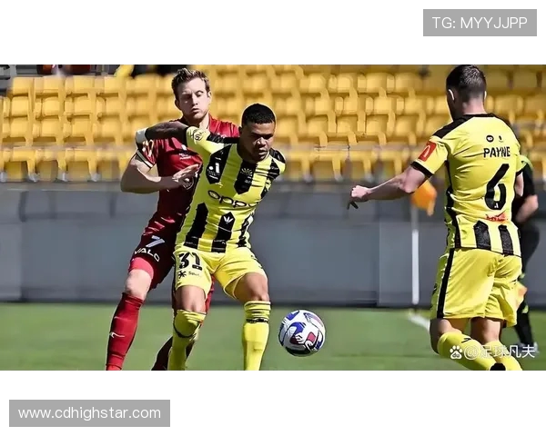 布里斯班对阵惠灵顿精彩直播全程回顾与赛后分析 布里斯班对阵惠灵顿精彩直播全程回顾与赛后分析