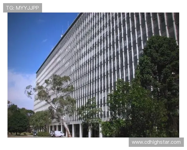 探索nvs菲律e的独特魅力与发展潜力，揭示其在现代社会中的重要角色与影响力