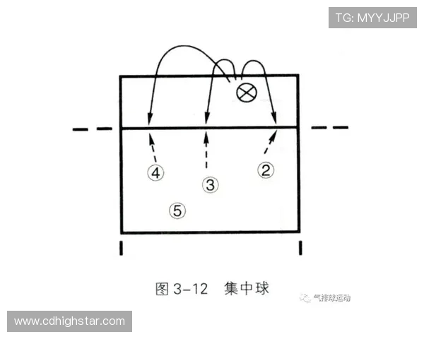 上海排球队战术表现深度分析与数据解读探讨 上海排球队战术表现深度分析与数据解读探讨