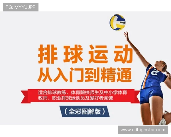 武汉排球队整体压制战术解析与比赛表现评估